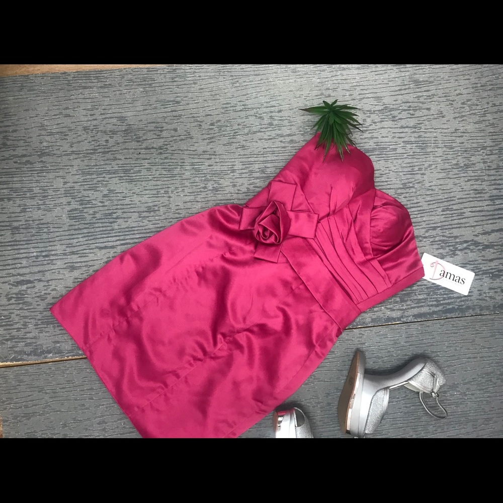 Damas Dress